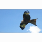 20220614 RM 02 1 DSC08509.jpg